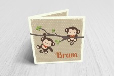 Lieve aapjes jongen Lieve aapjes jongen